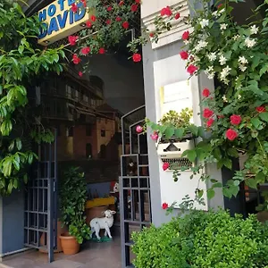 David - Ethno Style 3* Tbilisi